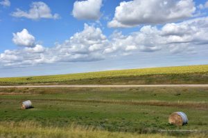 Landschaft in South Dakota