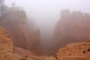 Bryce Canyon im Nebel