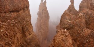 Bryce Canyon im Nebel