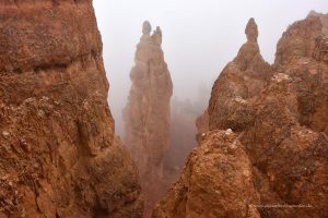 Bryce Canyon im Nebel