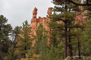 Red Canyon in Utah