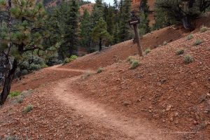 Wanderweg im Red Canyon