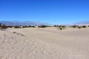 Düne im Death Valley