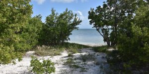 Strand auf den Keys