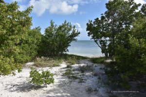 Strand auf den Keys