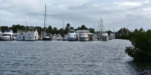 Yachten in Key West