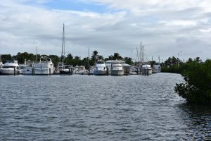 Yachten in Key West