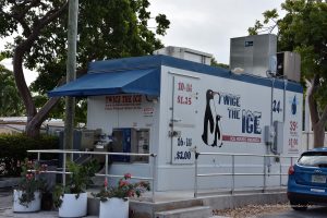 Eiswürfel zu kaufen