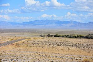 Wüste von Nevada
