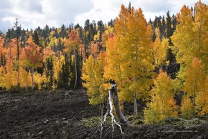 Landschaft in Utah