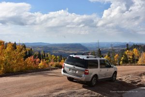 Unser Ford Expedition