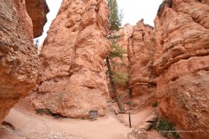 Enge Schluchten im Nationalpark