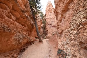 Enge Schluchten im Nationalpark