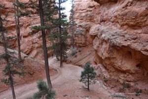 Enge Schluchten im Nationalpark