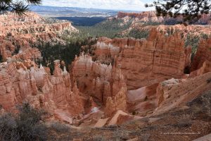 Tolle Landschaft im Bryce Canyon