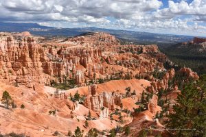 Tolle Landschaft im Bryce Canyon