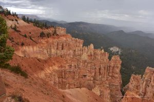 Ponderosa Canyon
