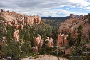 Swamp Canyon