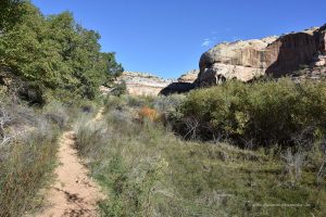 Wanderung zum Calf Creek Point