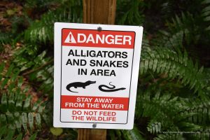Achtung Alligatoren
