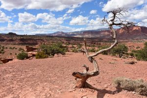 Rote Landschaft