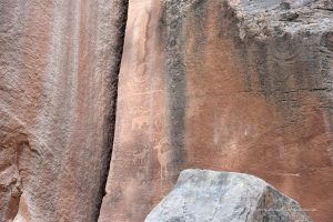 Felszeichnungen im Capitol Reef