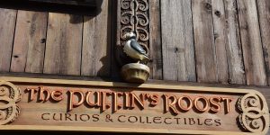 Puffins im Disneyworld