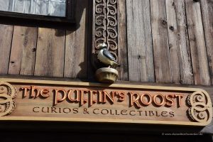 Puffins im Disneyworld