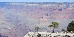 Weite Landschaft am Grand Canyon