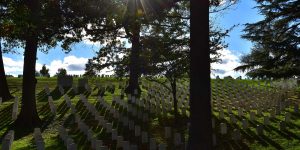 Gräberfeld auf dem Arlington Friedhof