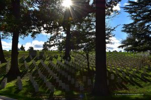 Gräberfeld auf dem Arlington Friedhof