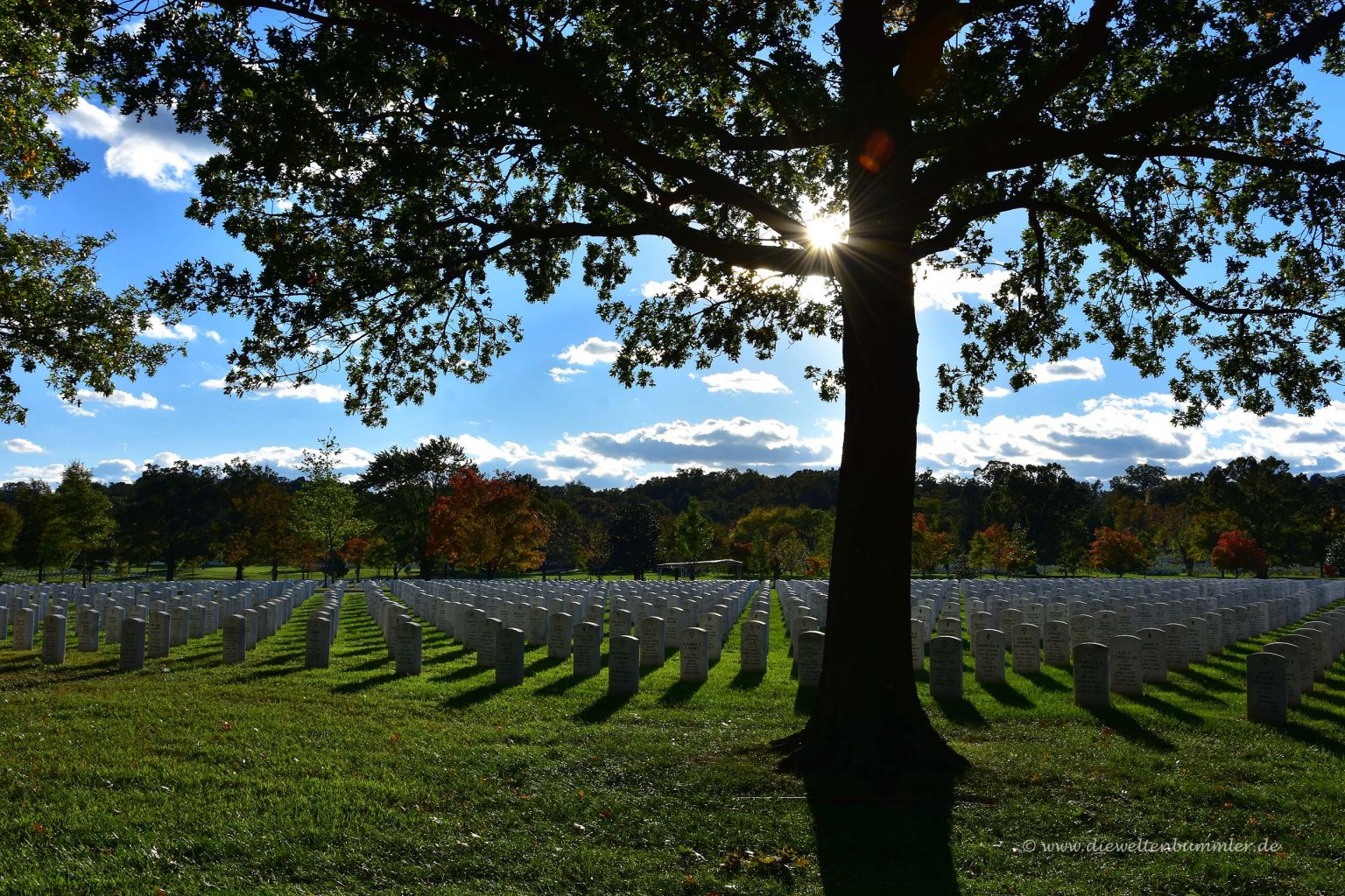 Arlington Friedhof