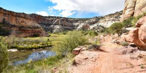 Wanderung zum Calf Creek Wasserfall