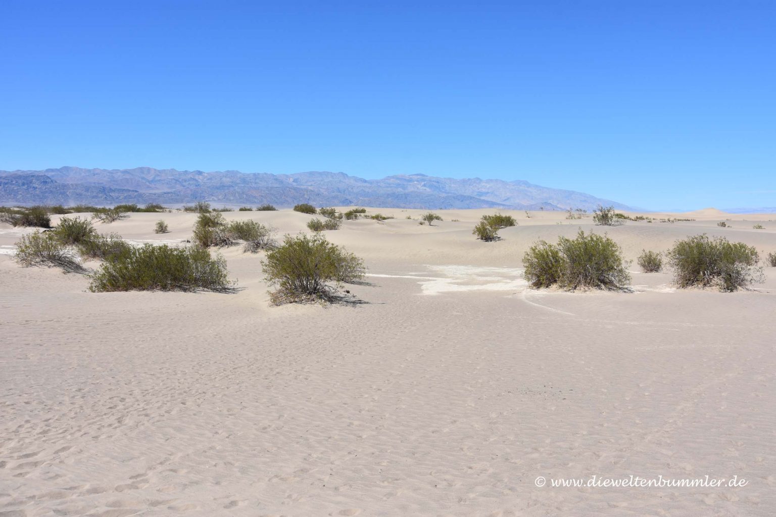 Dünenlandschaft im Death Valley