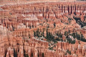 Ausblick am Bryce Point