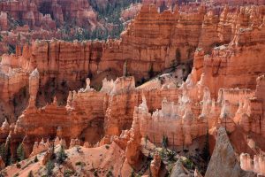 Hoodoos im Bryce Canyon