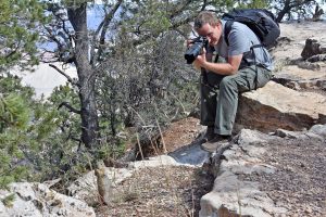Ich fotografiere ein Squirrel