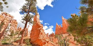 Wanderung im Bryce Canyon Nationalpark in Utah