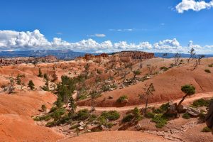 Wanderweg und weite Landschaft