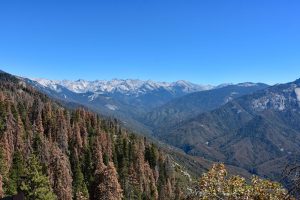 Berge der Sierra Nevada