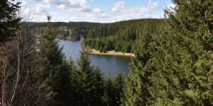 Mit dem Wohnmobil in den Harz