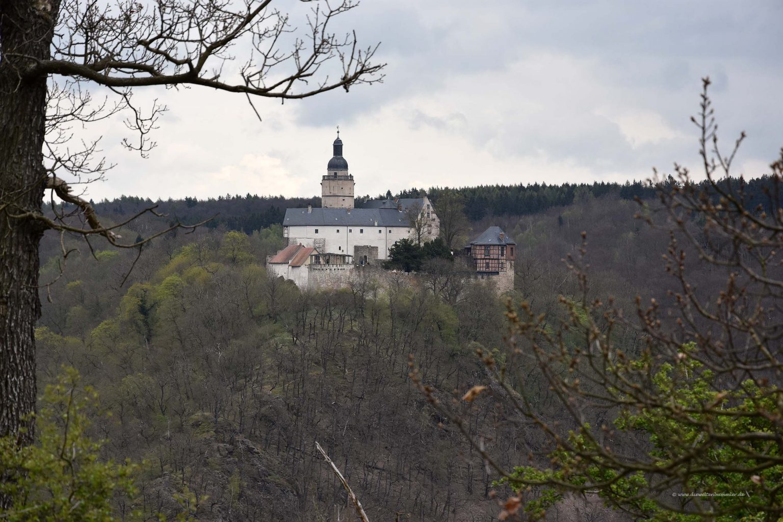 Burg Falkenstein über das Selkektal hinweg