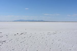 Großer Salzsee in Utah