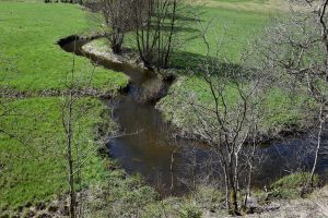 Idyllisch schlängelt sich die Rappbode