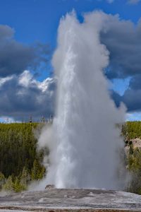 Old Faithful