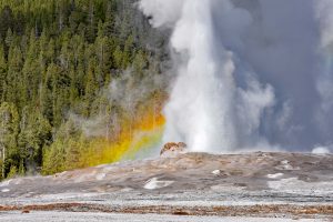 Regenbogen am Geysir