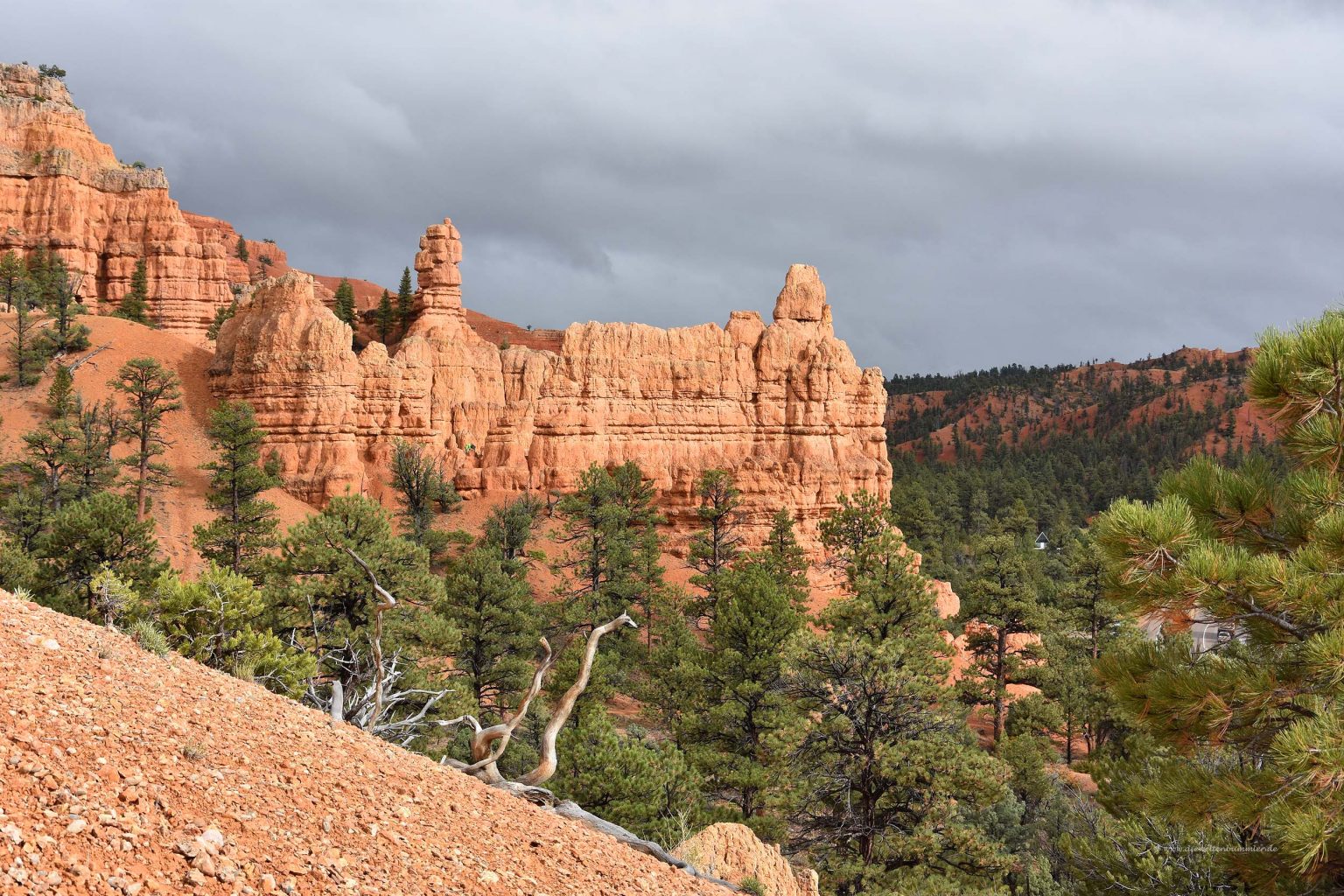 Rote Kulissen im Canyon