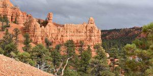 Wanderweg im Red Canyon in Utah