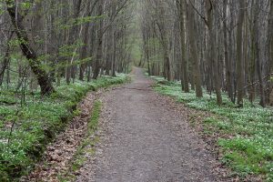 Wanderweg am Selketal