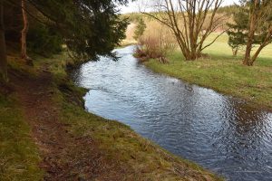 Wanderweg neben der Warmen Bode